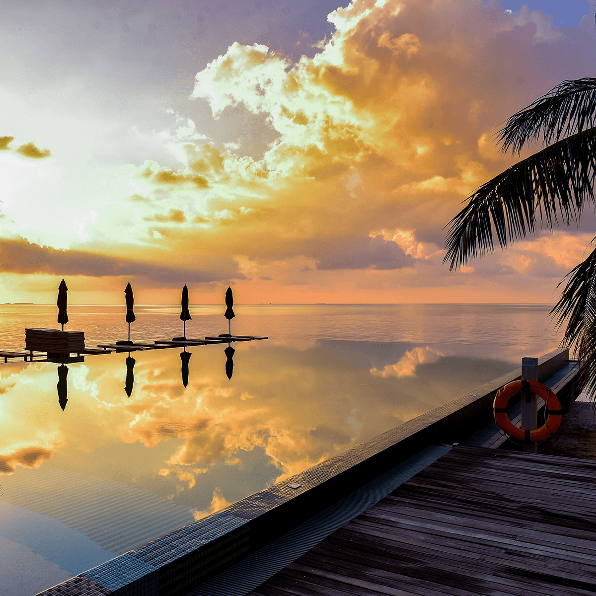 Tropical House Driving Energy With Synths